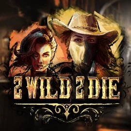 Play the 2 Wild 2 Die slot by Hacksaw Gaming on Herospin Casino